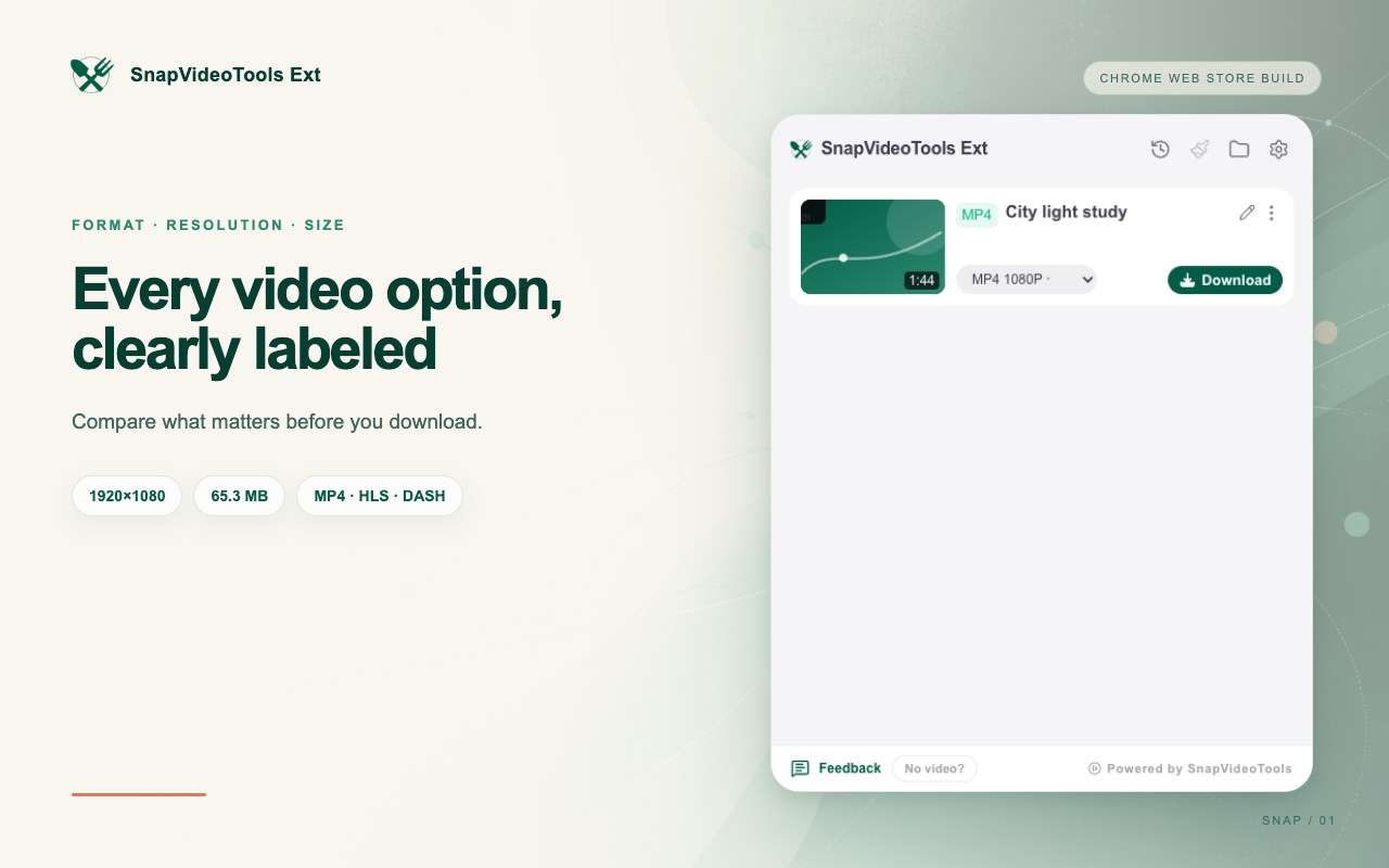 SnapVideoTools Ext showing detected videos with format, dimensions and file size options
