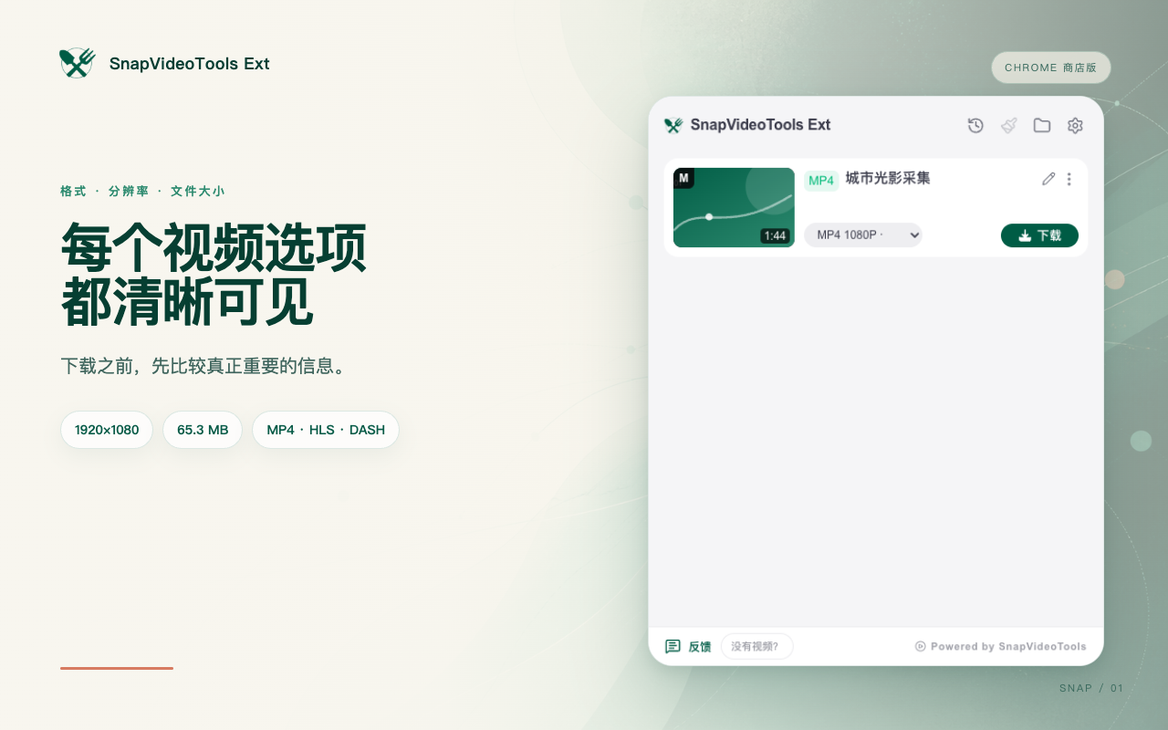 SnapVideoTools Ext 展示已检测视频及格式、尺寸和文件大小选项