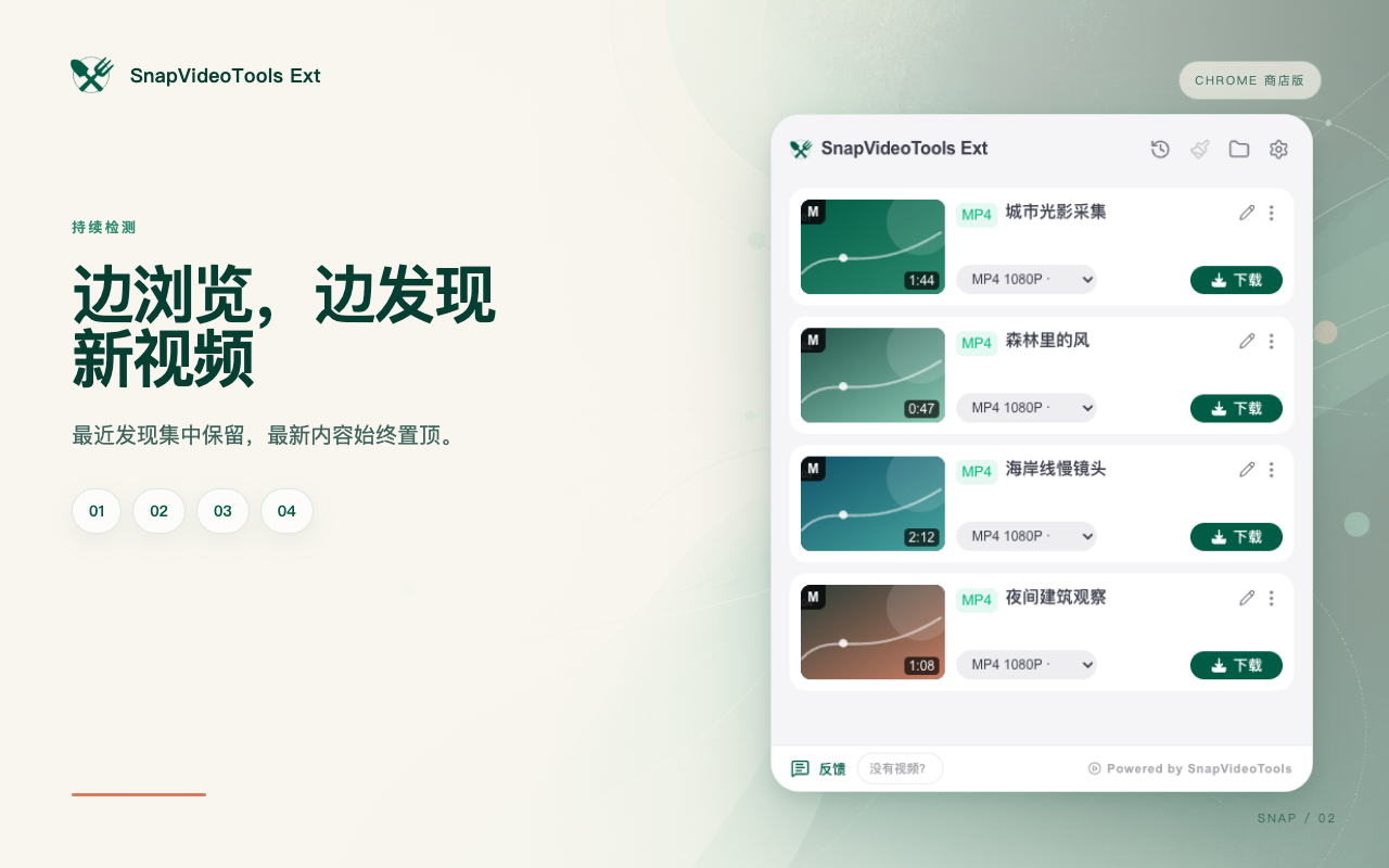 SnapVideoTools Ext 列出滚动信息流中最近检测到的视频