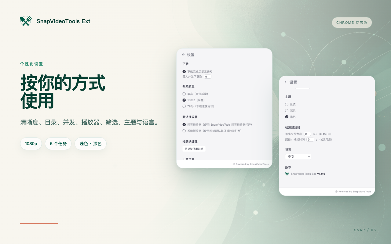 SnapVideoTools Ext 的主题、首选清晰度、下载目录和并发设置