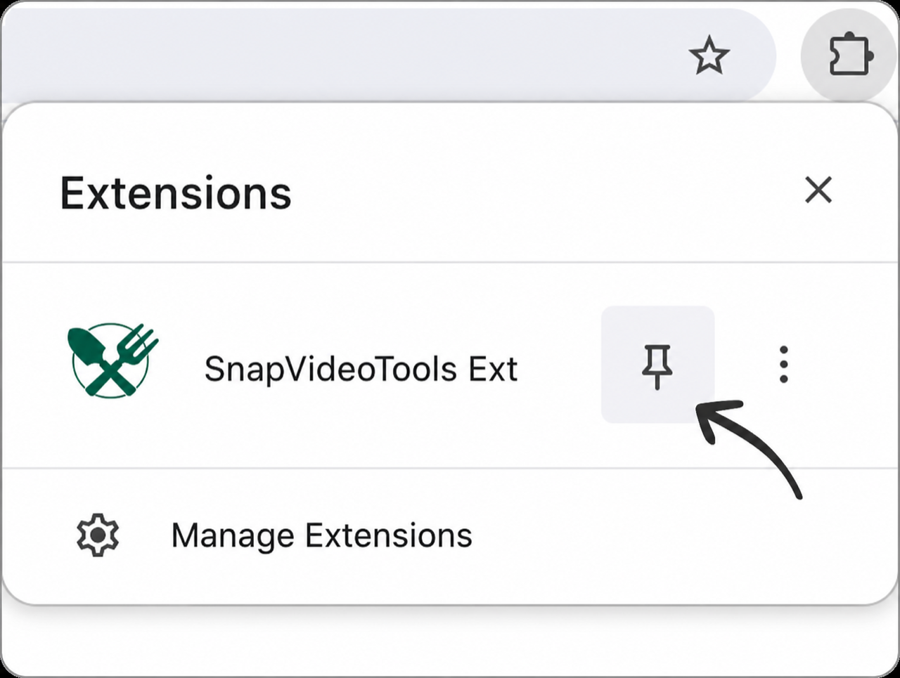 Chrome Extensions toolbar panel showing SnapVideoTools Ext and its pin control