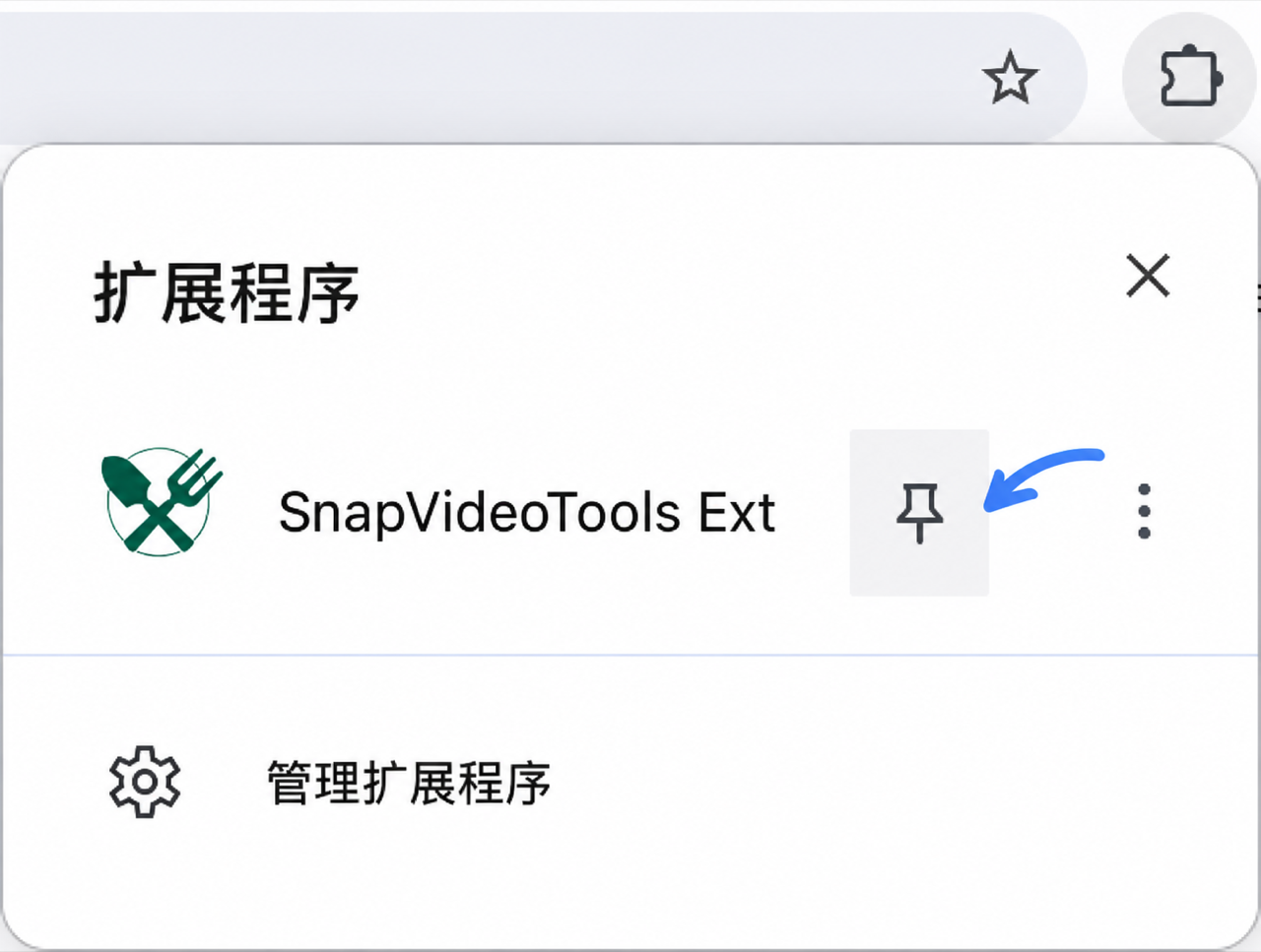 Chrome 扩展程序工具栏面板显示 SnapVideoTools Ext 及其图钉按钮